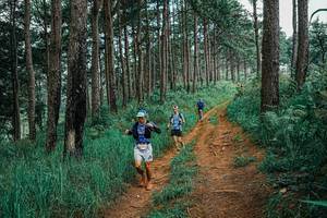 BIB: 
                            <button type="button" onclick="openModal(25659414)" class="btn btn-primary btn-sm float-right btn-popup" data-toggle="modal" data-target=".modal-high-quality">
                        <i class="fas fa-shopping-cart"></i> Add to Cart
                    </button>
                                            <button type="button" onclick="isThisMe(25659414, true)" class="btn btn-success btn-sm float-right btn-popup btn-isme hidden" data-toggle="tooltip" data-placement="bottom" title="นี่คือรูปของคุณใช่ไหม คลิกที่นี่เพื่อเอาเข้าอัลบั้ม">
                        <i class="fas fa-plus"></i> Add to album
                    </button>
                    <button type="button" onclick="isThisMe(25659414, false)" class="btn btn-warning btn-sm float-right btn-popup btn-isnotme hidden">
                        <i class="fas fa-ban"></i> Remove from album
                    </button>